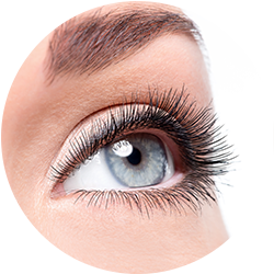 Teinture cils Yumi Lashes Bastia Queen & King